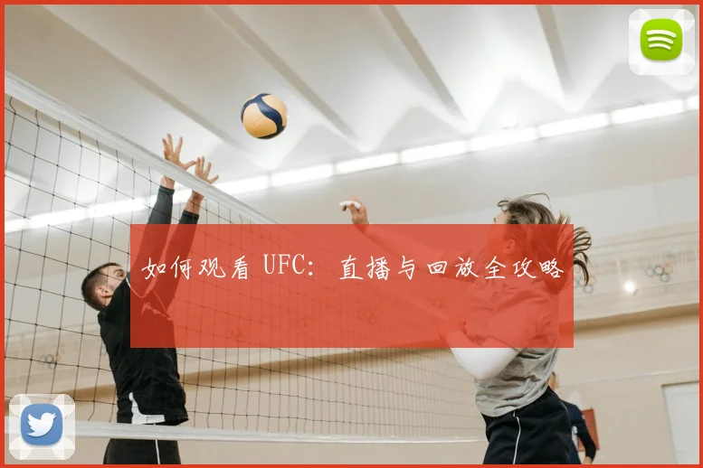 如何观看 UFC：直播与回放全攻略