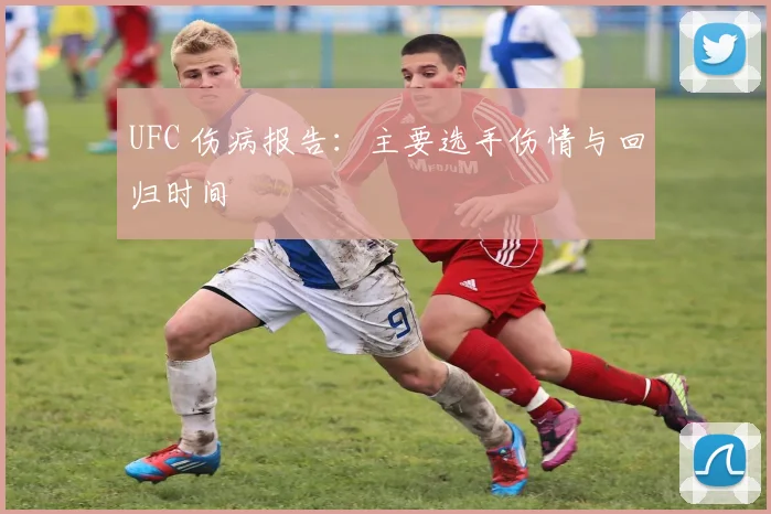 UFC 伤病报告：主要选手伤情与回归时间