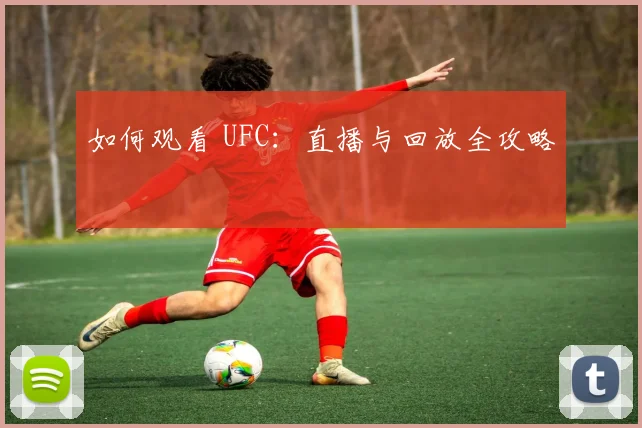 如何观看 UFC:直播与回放全攻略